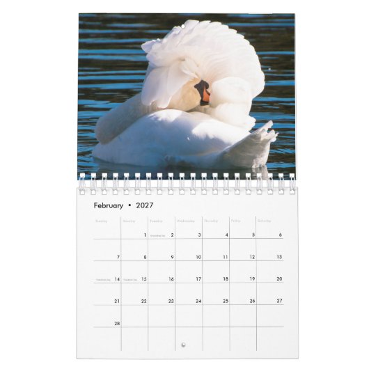 Swan Calendar Kalender (Feb 2027)