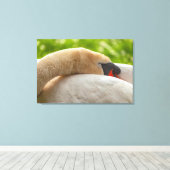 Swan Canvas Afdruk (Insitu (Houten vloer))