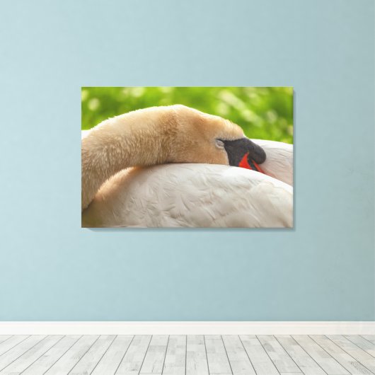 Swan Canvas Afdruk (Insitu (Houten vloer))