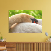 Swan Canvas Afdruk (Insitu (Woonkamer))