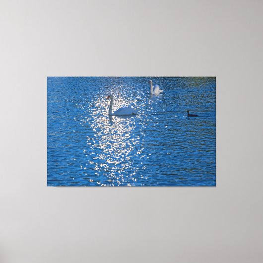 Swan Canvas Afdruk (Voorkant)