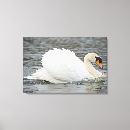 Swan Canvas Afdruk (Voorkant)