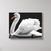 Swan Canvas Afdruk (Voorkant)