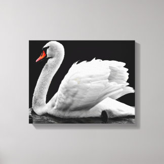 Swan Canvas Afdruk