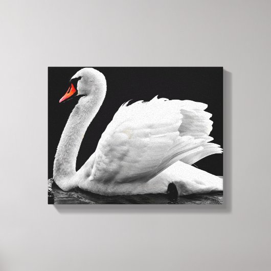 Swan Canvas Afdruk (Voorkant)
