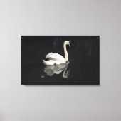Swan Canvas Afdruk (Voorkant)