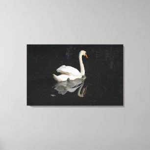 Swan Canvas Afdruk