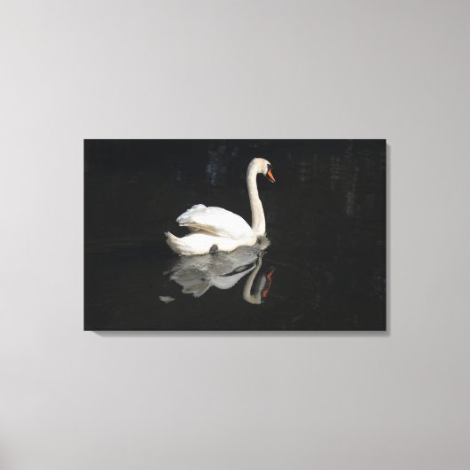 Swan Canvas Afdruk (Voorkant)