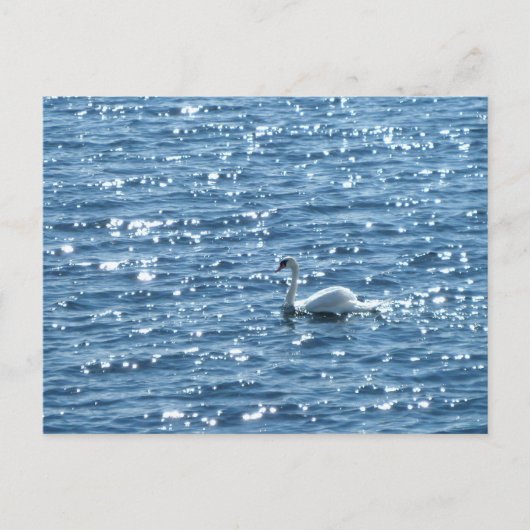Swan, Cardiff Bay, Cardiff Briefkaart (Voorkant)