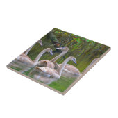 Swan Ceramic Tegel Tegeltje (Zijkant)