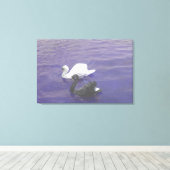 Swan Couple op een meer Canvas Afdruk (Insitu (Houten vloer))