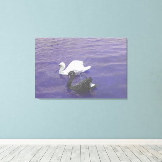 Swan Couple op een meer Canvas Afdruk (Insitu (Houten vloer))