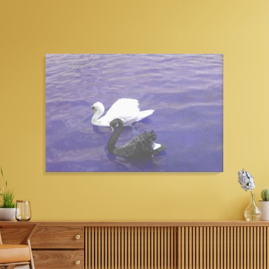Swan Couple op een meer Canvas Afdruk (Insitu (Woonkamer))