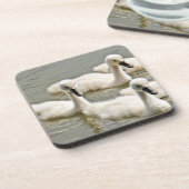 Swan Cygnets Swimming Bier Onderzetter (Linkerzijde)