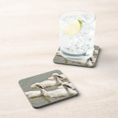 Swan Cygnets Swimming Bier Onderzetter (Rechterzijde)