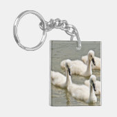 Swan Cygnets Swimming Sleutelhanger (Voorkant Links)