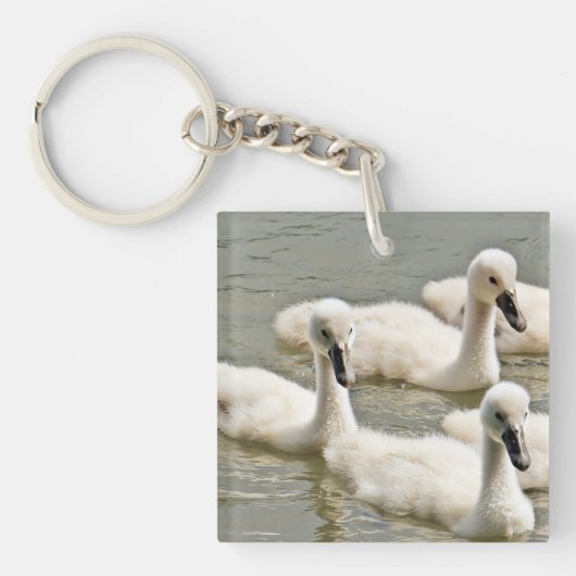 Swan Cygnets Swimming Sleutelhanger (Voorkant)