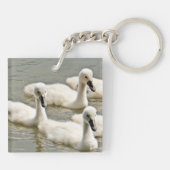 Swan Cygnets Swimming Sleutelhanger (Achterkant)