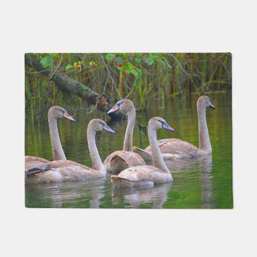 Swan Deuren Mat (Voorkant)