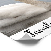 Swan Duo Nature Photo Wall Decor Poster (Hoek)