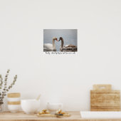 Swan Duo Nature Photo Wall Decor Poster (Keuken)