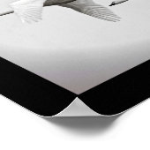 Swan Duo Poster (Hoek)