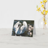 Swan en Cygnets Kaart (Gele Bloem)
