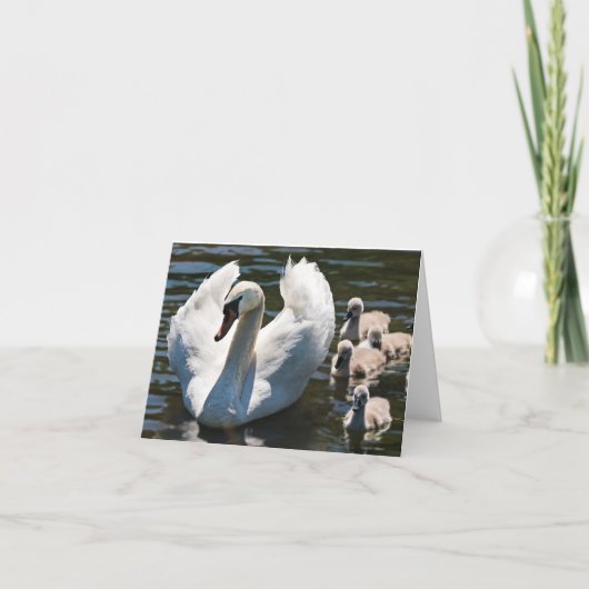 Swan en Cygnets Kaart (Voorkant)