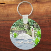 Swan en Cygnets Sleutelhanger (Voorkant)