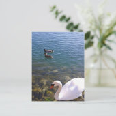 Swan en Ducks Social Distancing Briefkaart (Staand voorkant)