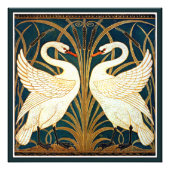 Swan en Rush en Iris Foto Afdruk (Voorkant)