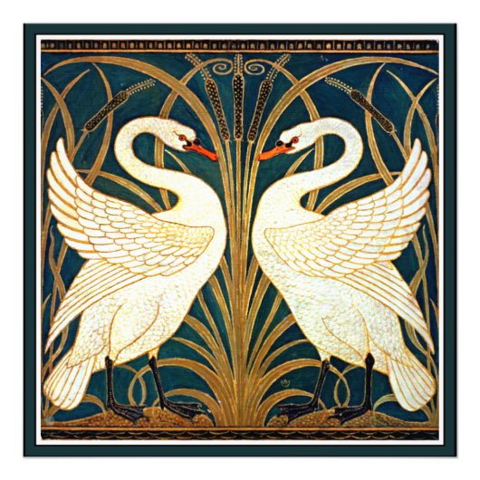 Swan en Rush en Iris Foto Afdruk (Voorkant)