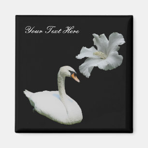 Swan en White Hibiscus Flower Magnet
