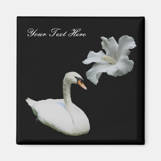 Swan en White Hibiscus Flower Magnet (Voorkant)