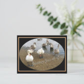 Swan-familie Briefkaart (Staand voorkant)