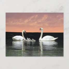 Swan Familie in Harbour Sky Cust. BG DIY Briefkaar Briefkaart