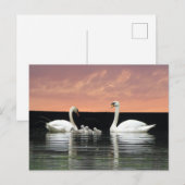 Swan Familie in Harbour Sky Cust. BG DIY Briefkaar Briefkaart (Voorkant / Achterkant)