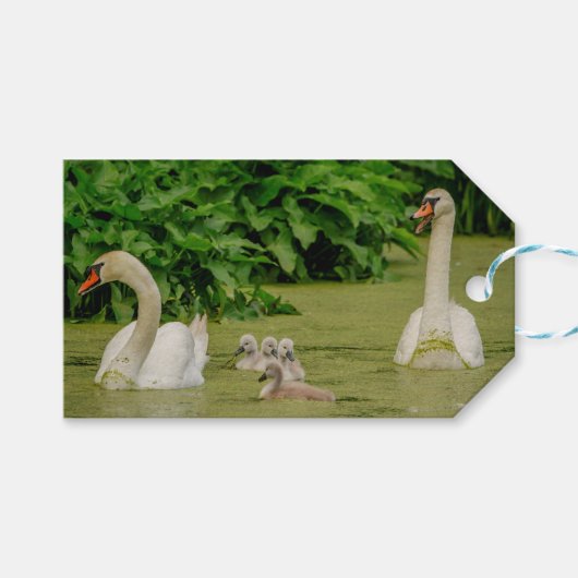 Swan Family Cadeaulabel (Voorkant (Horizontaal))