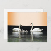 Swan Family Cust. BG-kleurenDIY-Briefkaart Briefkaart (Voorkant / Achterkant)