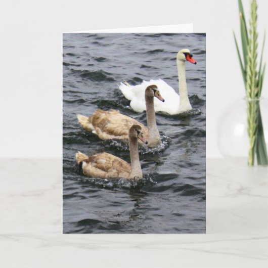 Swan Family - Happy Moederdag Kaart (Voorkant)