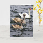 Swan Family - Happy Moederdag Kaart (Gele Bloem)