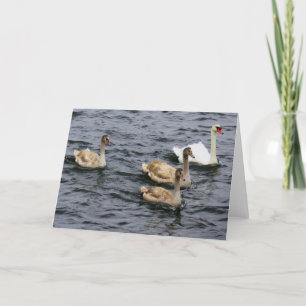 Swan Family Kaart