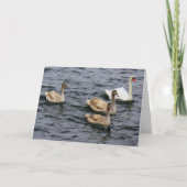 Swan Family Kaart (Voorkant)