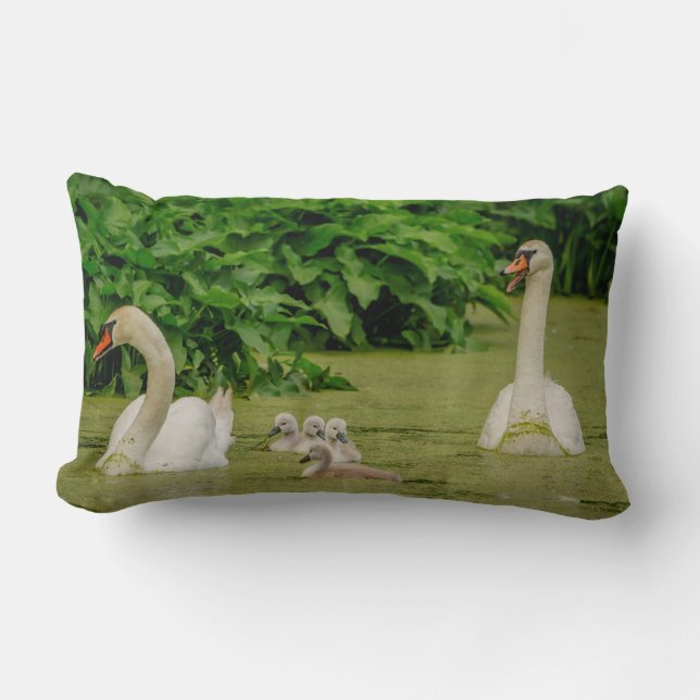 Swan Family Kussen (Voorkant)