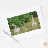 Swan Family Rechthoekige Sticker (Envelop)