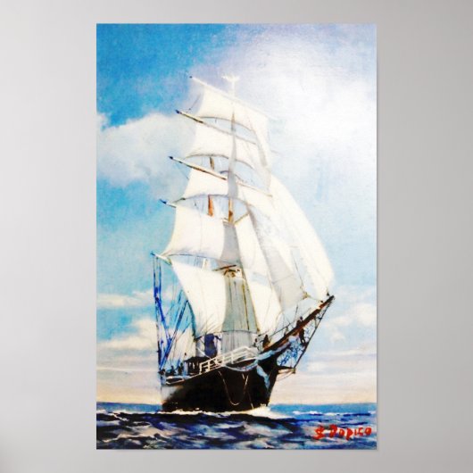 Swan Fan Makkum Poster (Voorkant)