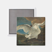 Swan fine art Asselijn Magneet (Voorkant / Achterkant)