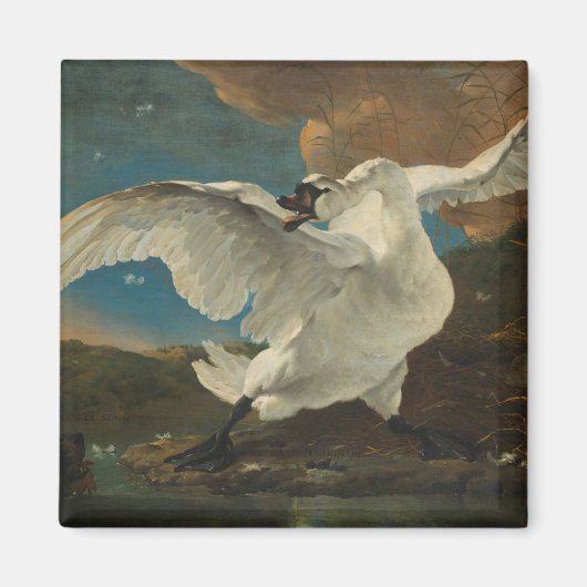 Swan fine art Asselijn Magneet (Voorkant)