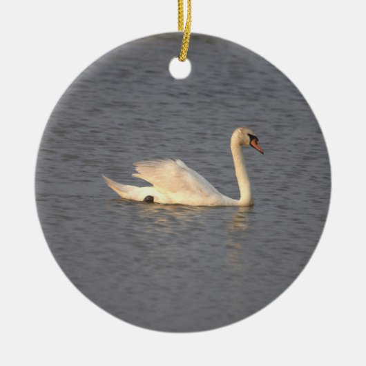 Swan Foto Ornament (Voorkant)