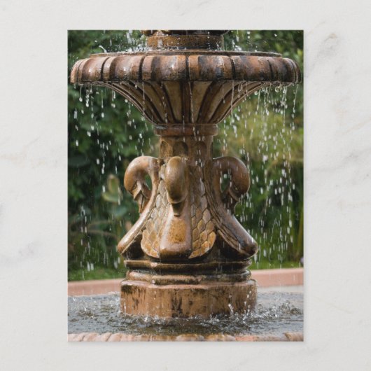 Swan Fountain Briefkaart (Voorkant)